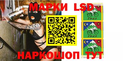 ECSTASY Камышлов