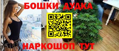 ECSTASY Камышлов