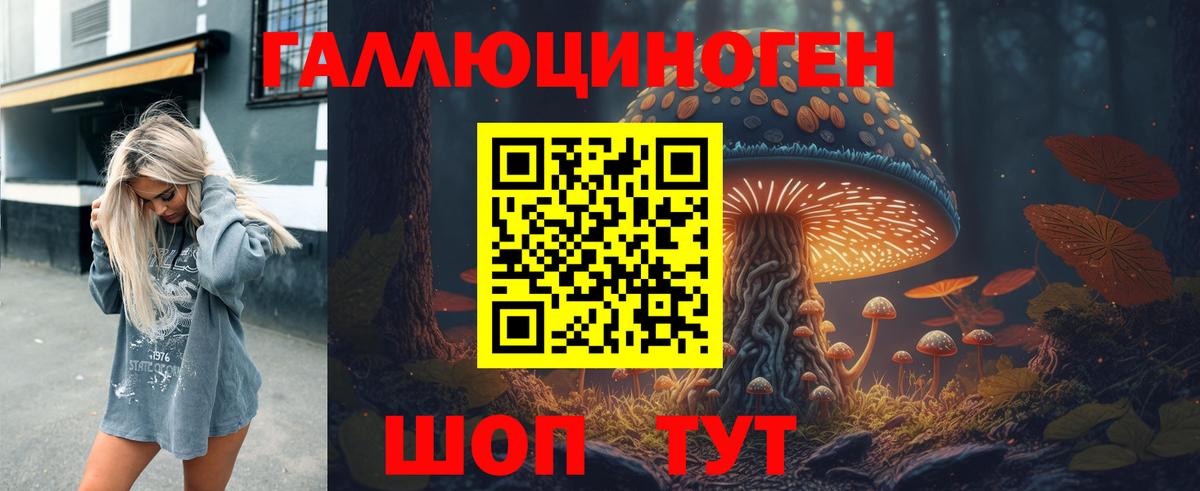 Галлюциногенные грибы Psilocybe  Вход с VPN  Кыштым 